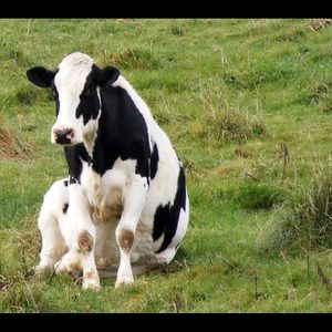 Meet your Posher, Gary